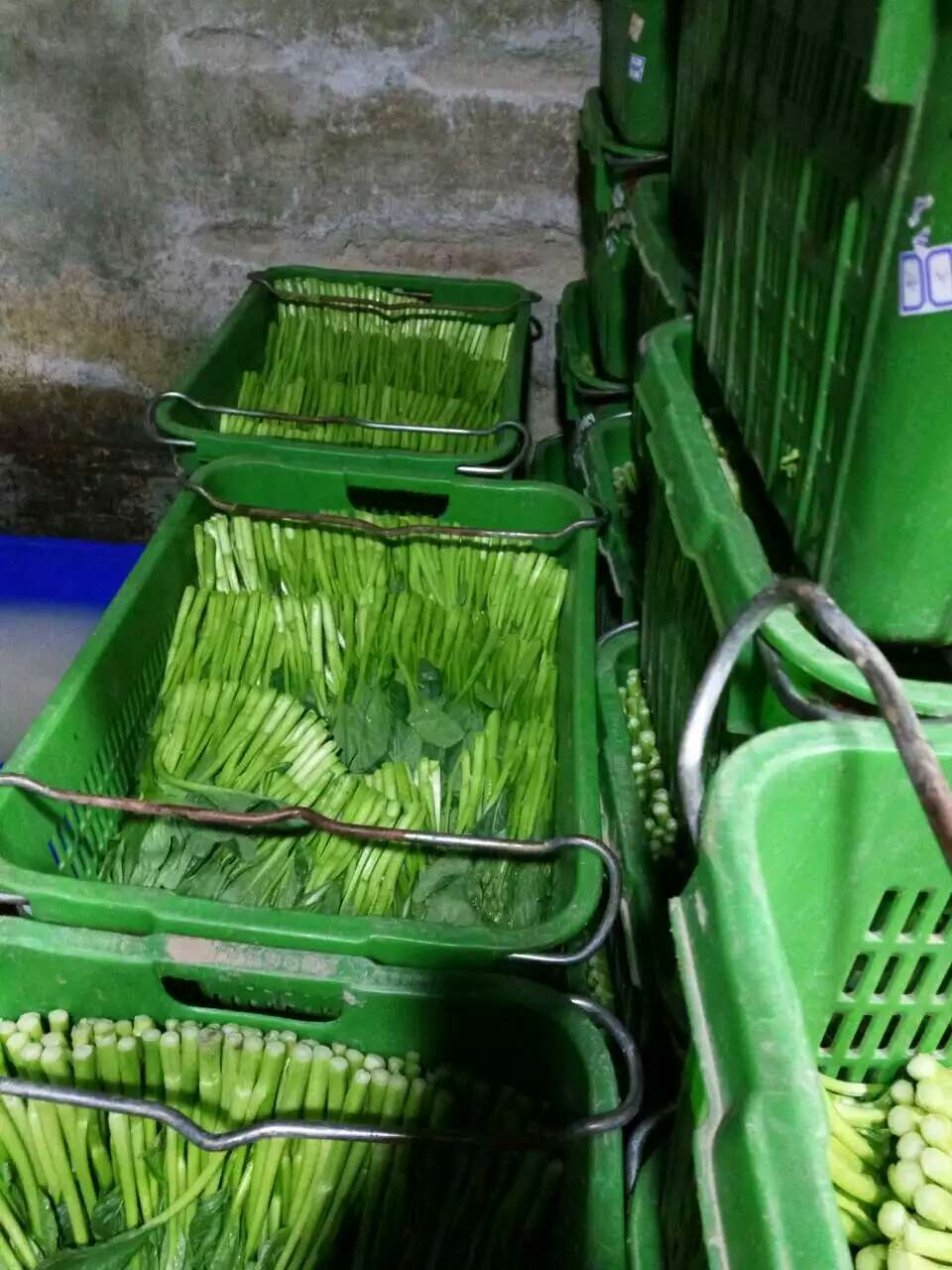 天津绿色蔬菜配送
